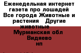 Еженедельная интернет - газета про лошадей - Все города Животные и растения » Другие животные   . Мурманская обл.,Видяево нп